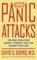 When Panic Attacks